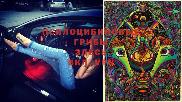 дмт Балабаново