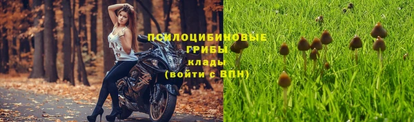 винт Белоозёрский